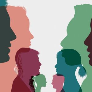 Curso de Mainstreaming de Gnero en las Organizaciones